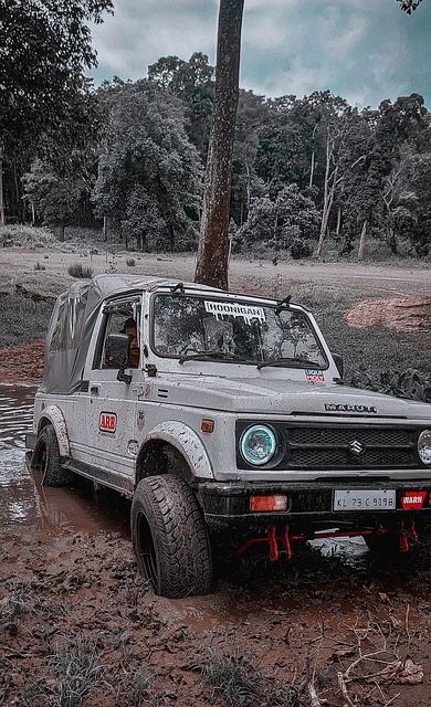 开云体育每日抽日享8888元福利大奖